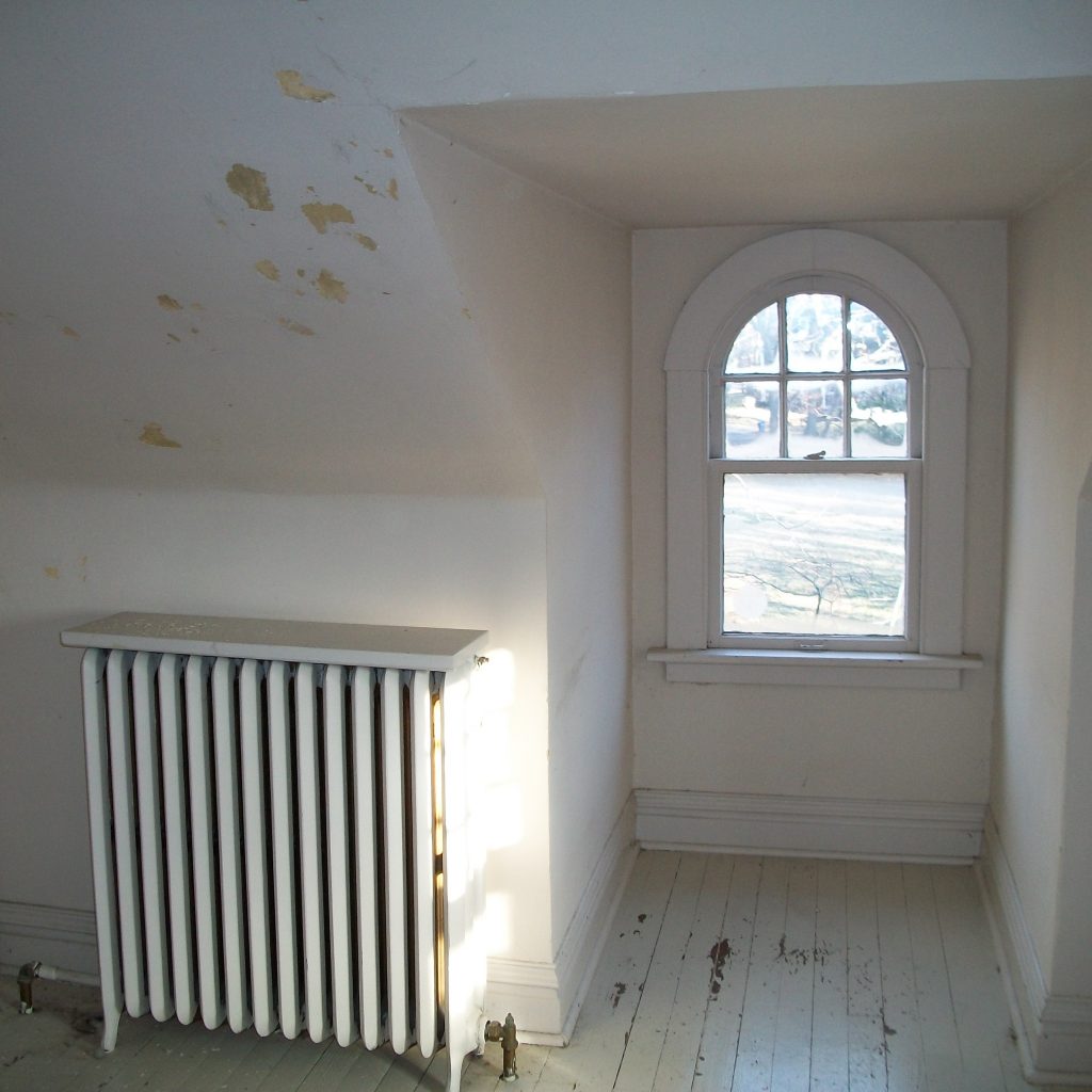 Plaster Repair