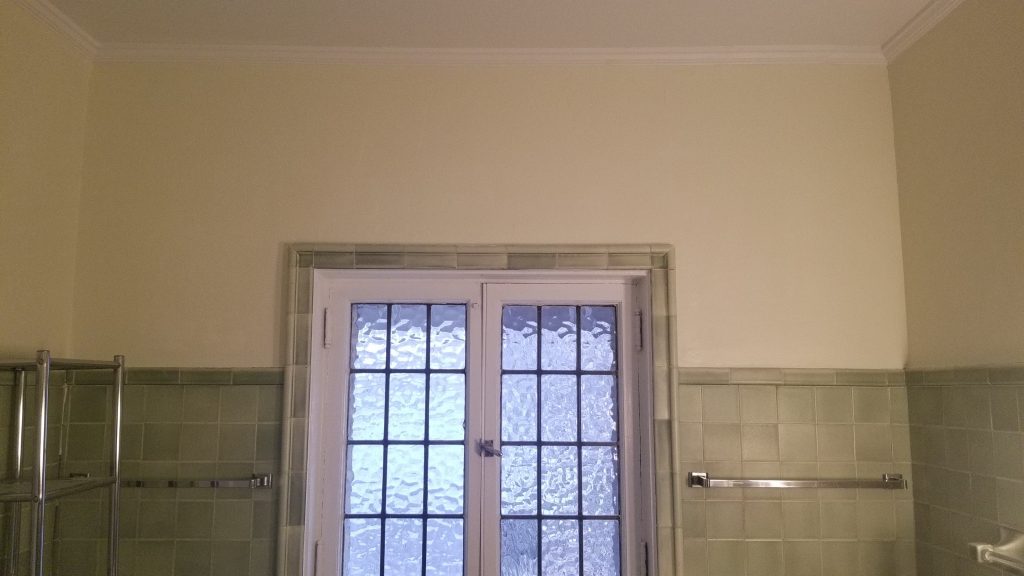Bathroom Ceiling & Wall Repairs